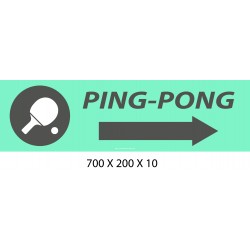 PANNEAU PING PONG DIRECTIONNEL - 700 X 200 X 10