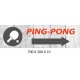 PANNEAU PING PONG DIRECTIONNEL - 700 X 200 X 10