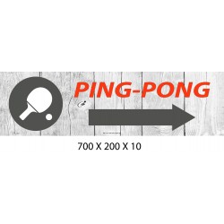 PANNEAU PING PONG DIRECTIONNEL - 700 X 200 X 10