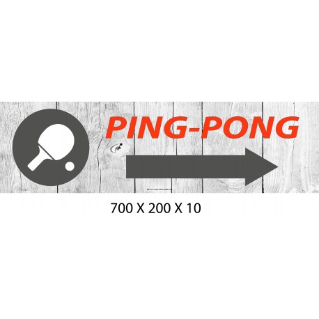 PANNEAU PING PONG DIRECTIONNEL - 700 X 200 X 10