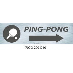 PANNEAU PING PONG DIRECTIONNEL - 700 X 200 X 10