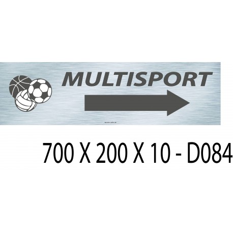 PANNEAU MULTISPORTS DIRECTIONNEL - 700 X 200 X 10