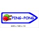 FLECHE SIGNAL PING PONG DIRECTIONNEL - 600 X 180 X 10