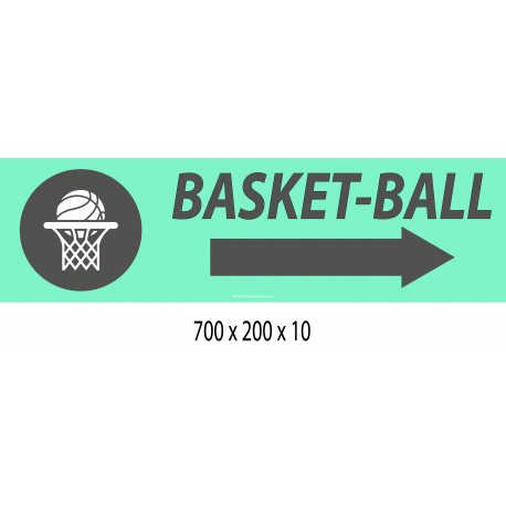 FLECHE SIGNAL Basket-ball DIRECTIONNEL - 700 X 200 X 10