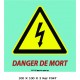 LOGO PORTE DANGER - 100 X 100 X 3