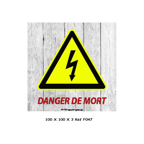 LOGO PORTE DANGER - 100 X 100 X 3