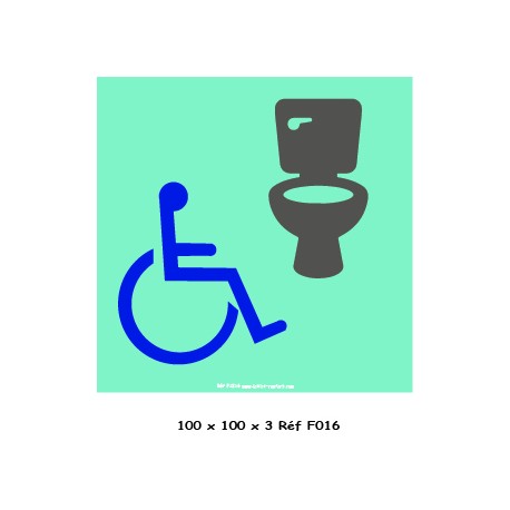 LOGO PORTE WC HANDICAPE - 100 X 100 X 3