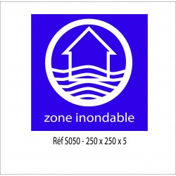 LOGO ZONE INONDABLE