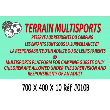 PANNEAU TERRAIN MULTISPORTS 2L- 700 X 400 X 10
