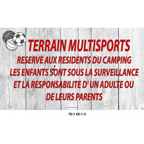 PANNEAU TERRAIN MULTISPORTS  - 700 X 400 X 10