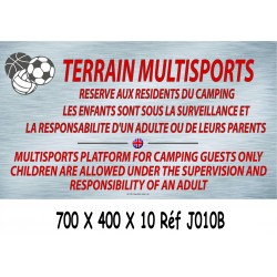 PANNEAU TERRAIN MULTISPORTS 2L- 700 X 400 X 10