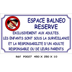 PANNEAU ESPACE BALNEO - 450 X 250 X10